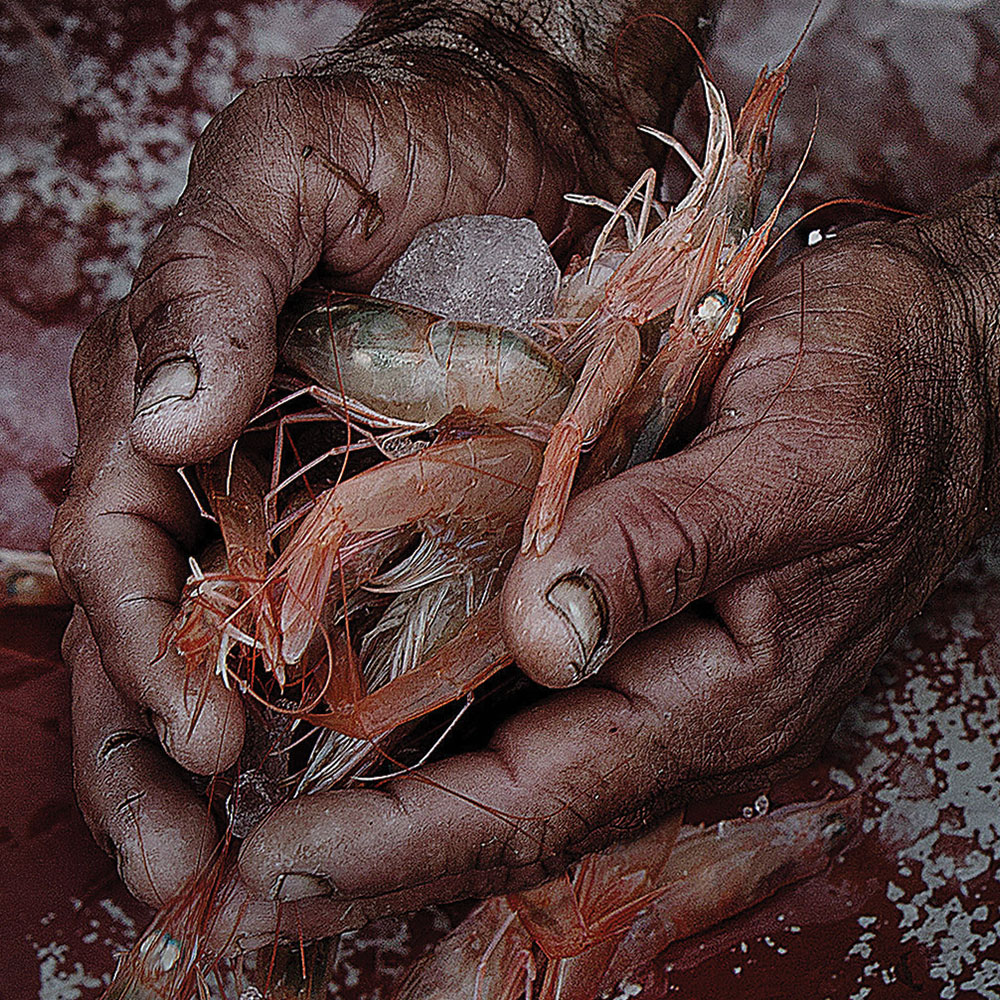 lorem ipsum dolor sit