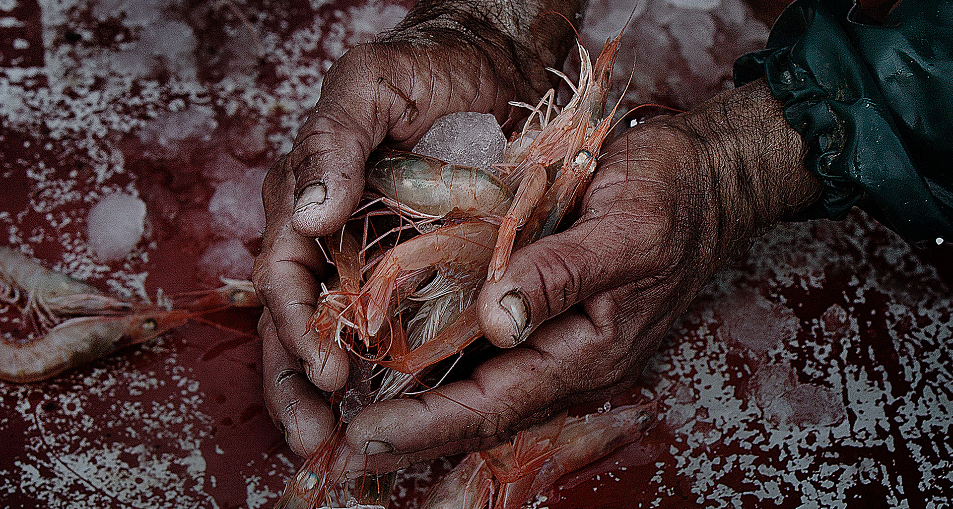 lorem ipsum dolor sit