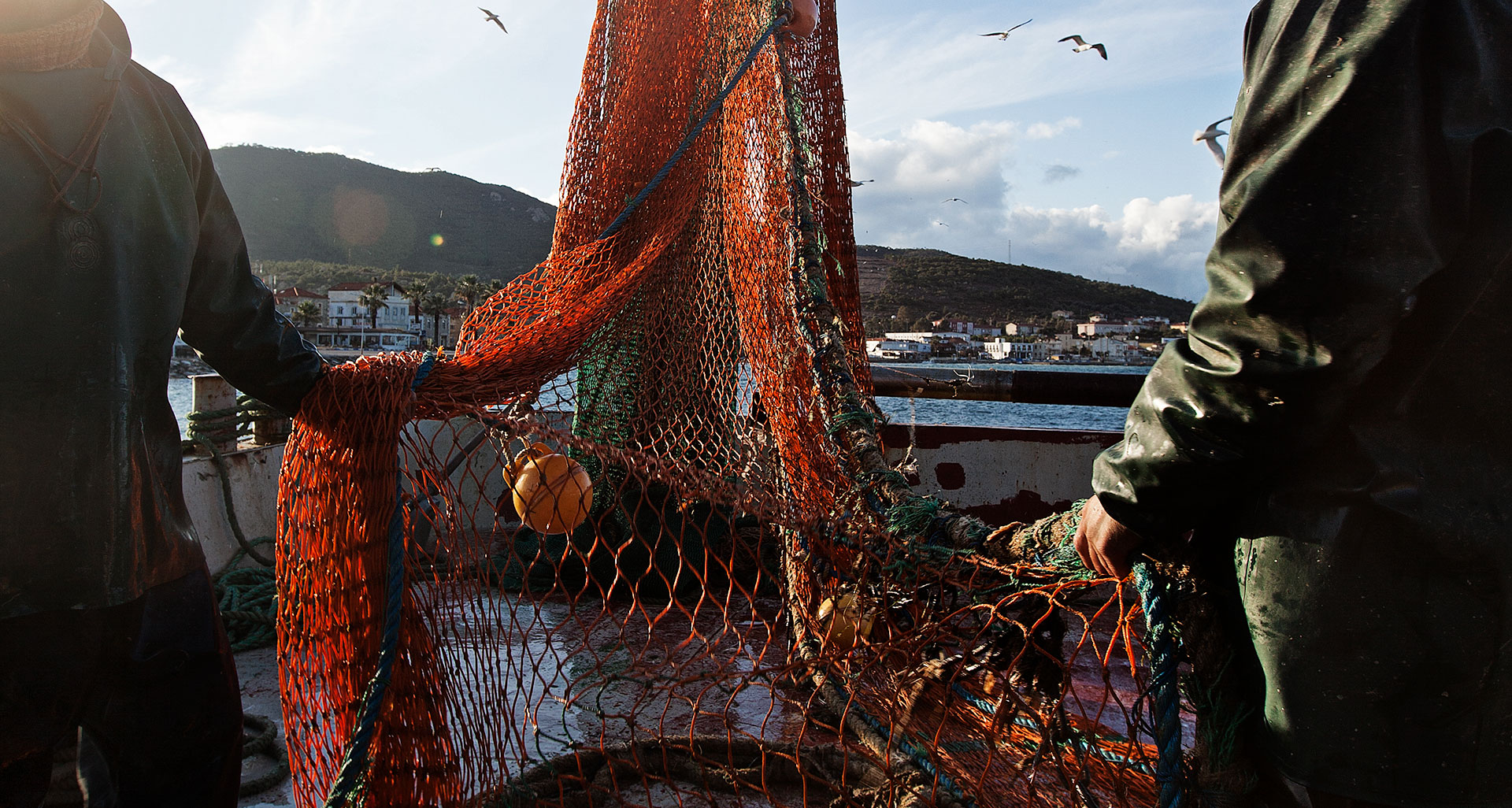 lorem ipsum dolor sit